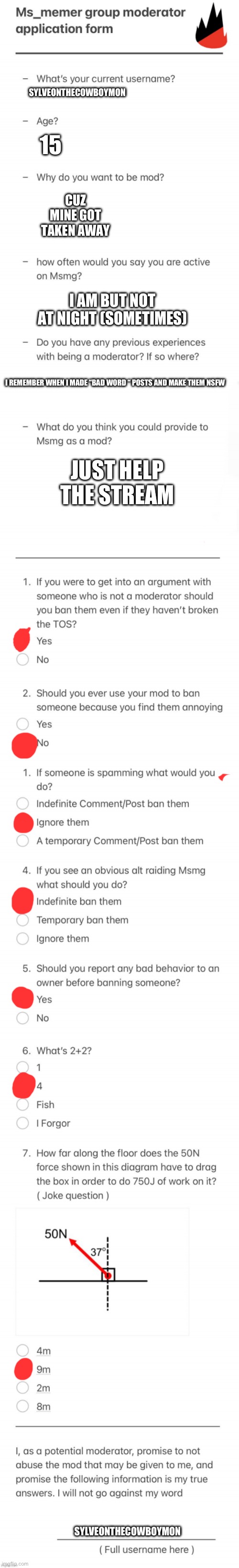 UPDATED MSMG MOD FORM | 15; SYLVEONTHECOWBOYMON; CUZ MINE GOT TAKEN AWAY; I AM BUT NOT AT NIGHT (SOMETIMES); I REMEMBER WHEN I MADE “BAD WORD “ POSTS AND MAKE THEM NSFW; JUST HELP THE STREAM; SYLVEONTHECOWBOYMON | image tagged in updated msmg mod form | made w/ Imgflip meme maker