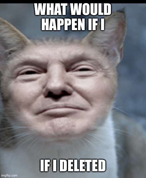 Donald trump cat | WHAT WOULD HAPPEN IF I; IF I DELETED | image tagged in donald trump cat | made w/ Imgflip meme maker