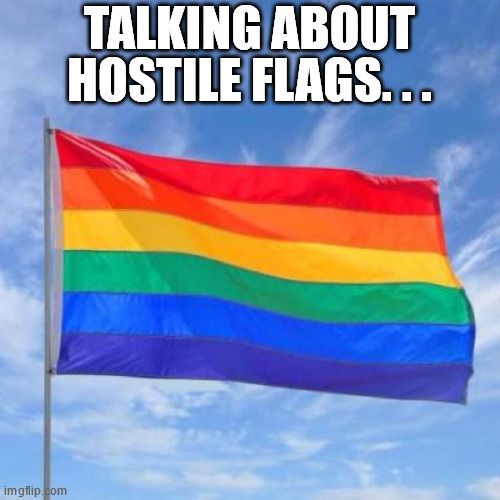 Gay pride flag | TALKING ABOUT HOSTILE FLAGS. . . | image tagged in gay pride flag | made w/ Imgflip meme maker
