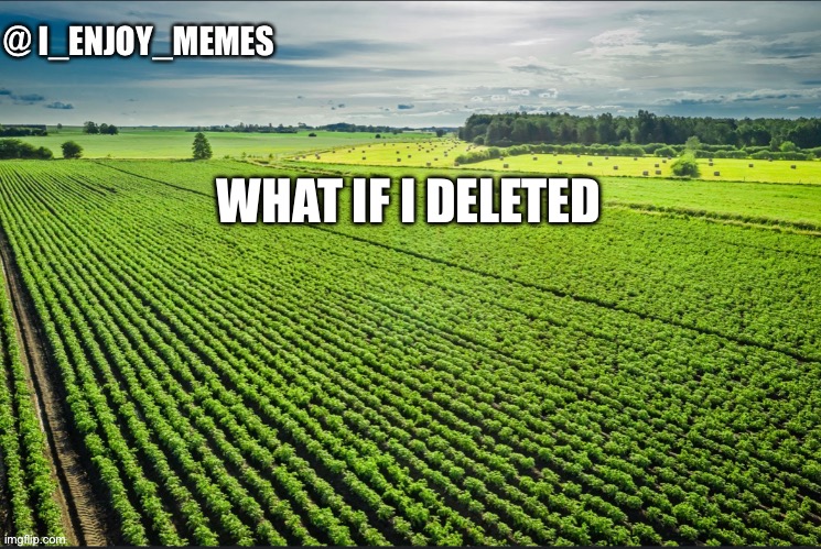 I_enjoy_memes_template | WHAT IF I DELETED | image tagged in i_enjoy_memes_template | made w/ Imgflip meme maker
