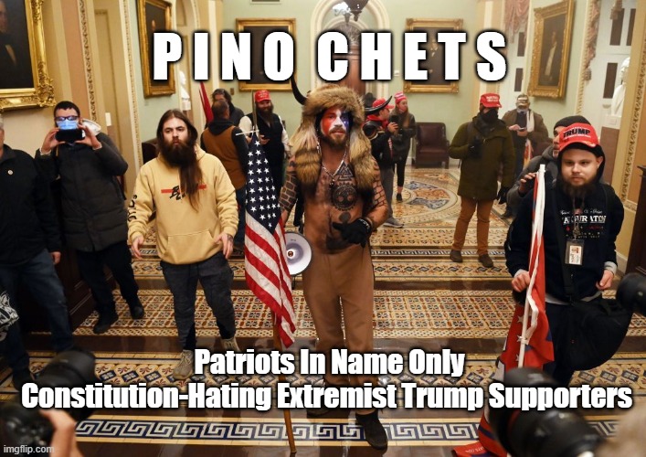 Pincochets | P I N O  C H E T S; Patriots In Name Only Constitution-Hating Extremist Trump Supporters | image tagged in capitol buffalo guy | made w/ Imgflip meme maker