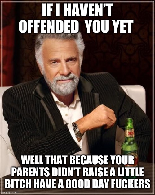 The Most Interesting Man In The World Meme | IF I HAVEN’T OFFENDED  YOU YET; WELL THAT BECAUSE YOUR PARENTS DIDN’T RAISE A LITTLE BITCH HAVE A GOOD DAY FUCKERS | image tagged in memes,the most interesting man in the world | made w/ Imgflip meme maker