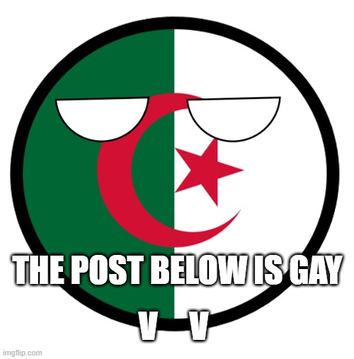 Algeria | THE POST BELOW IS GAY; V     V | image tagged in algeria | made w/ Imgflip meme maker