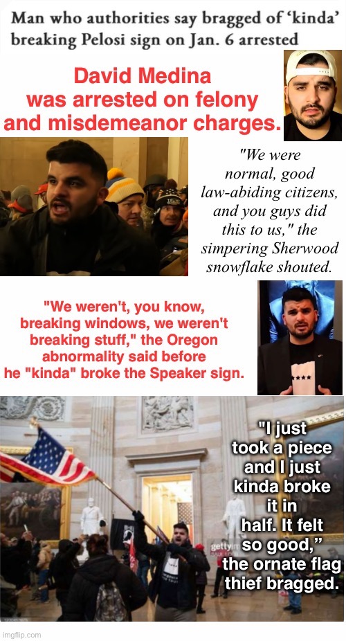 Sherwood Simplest | image tagged in vandal,liar,domestic terrorist,treason,thieving flag hag,tuff mouse when in crowd | made w/ Imgflip meme maker