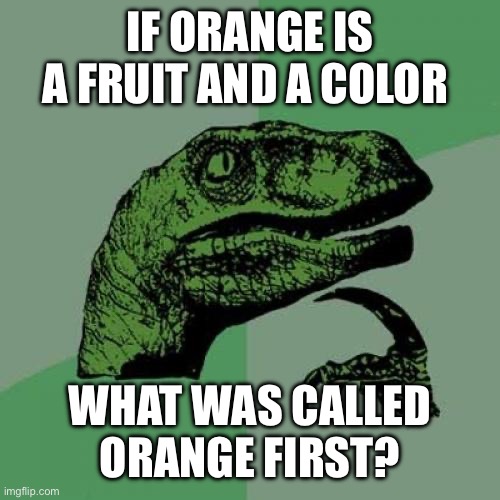 Philosoraptor | IF ORANGE IS A FRUIT AND A COLOR; WHAT WAS CALLED ORANGE FIRST? | image tagged in memes,philosoraptor | made w/ Imgflip meme maker