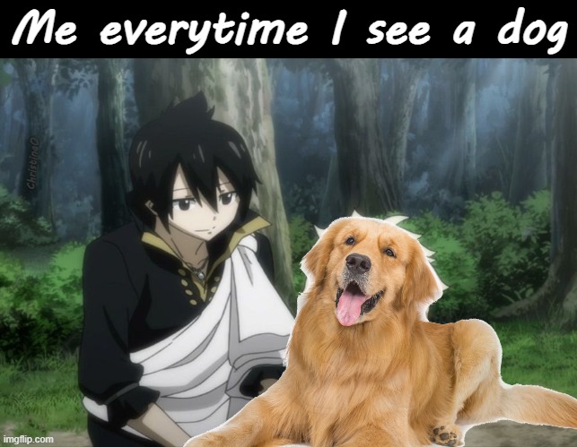 Fairy Tail Memes Dog | Me everytime I see a dog; ChristinaO | image tagged in memes,fairy tail,fairy tail meme,fairy tail memes,zeref dragneel,anime meme | made w/ Imgflip meme maker