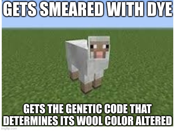GETS SMEARED WITH DYE; GETS THE GENETIC CODE THAT DETERMINES ITS WOOL COLOR ALTERED | made w/ Imgflip meme maker