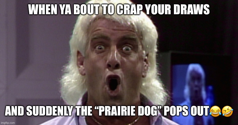 Rick flair woo | WHEN YA BOUT TO CRAP YOUR DRAWS; AND SUDDENLY THE “PRAIRIE DOG” POPS OUT😂🤣 | image tagged in rick flair woo | made w/ Imgflip meme maker