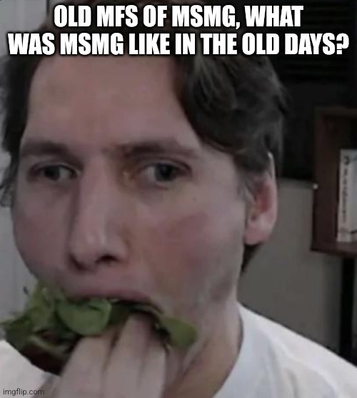 Jerma eating Lettuce | OLD MFS OF MSMG, WHAT WAS MSMG LIKE IN THE OLD DAYS? | image tagged in jerma eating lettuce | made w/ Imgflip meme maker