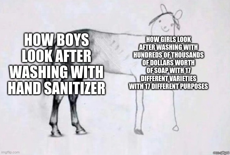 a lot of money down the drain. literally | HOW BOYS LOOK AFTER WASHING WITH HAND SANITIZER; HOW GIRLS LOOK AFTER WASHING WITH HUNDREDS OF THOUSANDS OF DOLLARS WORTH OF SOAP WITH 17 DIFFERENT VARIETIES WITH 17 DIFFERENT PURPOSES | image tagged in horse drawing | made w/ Imgflip meme maker