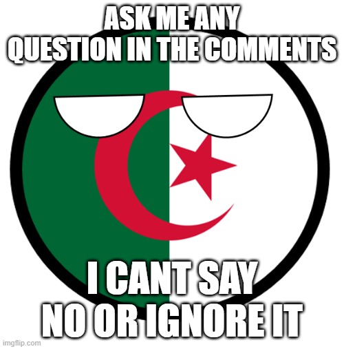 yep im doin this | ASK ME ANY QUESTION IN THE COMMENTS; I CANT SAY NO OR IGNORE IT | image tagged in algeria | made w/ Imgflip meme maker