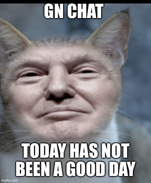 Donald trump cat | GN CHAT; TODAY HAS NOT BEEN A GOOD DAY | image tagged in donald trump cat | made w/ Imgflip meme maker
