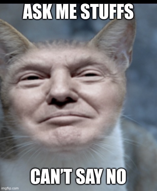 Unless yea or no question | ASK ME STUFFS; CAN’T SAY NO | image tagged in donald trump cat | made w/ Imgflip meme maker