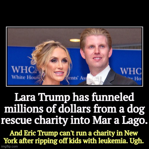 Trump WhiteTrash! | Lara Trump has funneled millions of dollars from a dog rescue charity into Mar a Lago. | And Eric Trump can't run a charity in New York afte | image tagged in funny,demotivationals,eric trump,lara trump,thieves,embezzlers | made w/ Imgflip demotivational maker