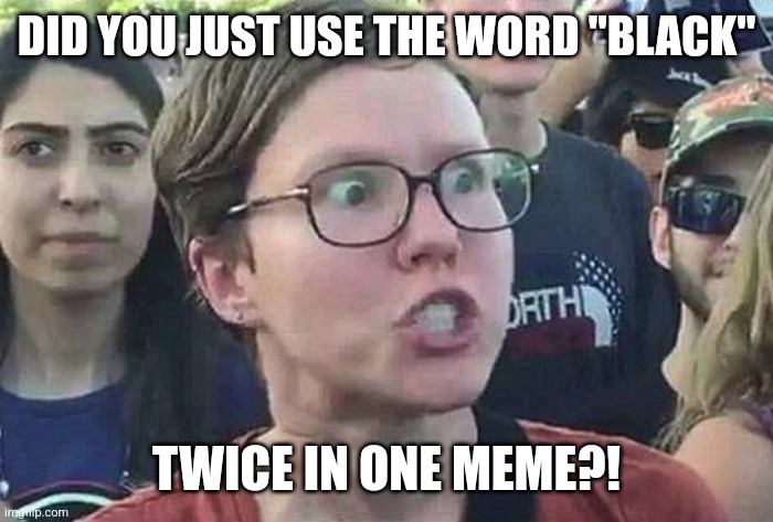 Triggered Liberal | DID YOU JUST USE THE WORD "BLACK" TWICE IN ONE MEME?! | image tagged in triggered liberal | made w/ Imgflip meme maker