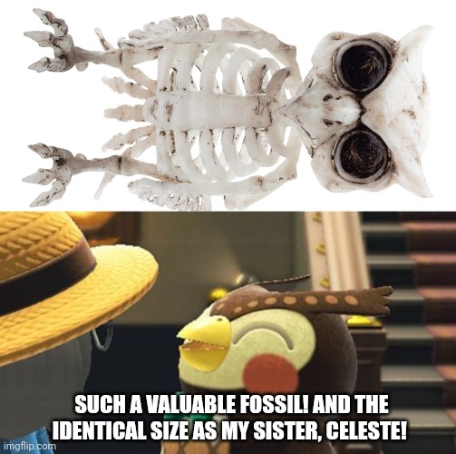 Animal crossing problems | SUCH A VALUABLE FOSSIL! AND THE IDENTICAL SIZE AS MY SISTER, CELESTE! | image tagged in animal crossing,blathers,museum,owl | made w/ Imgflip meme maker