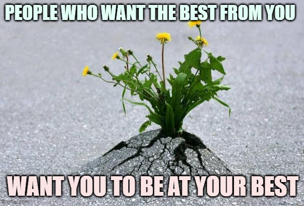 Be at your best | PEOPLE WHO WANT THE BEST FROM YOU; WANT YOU TO BE AT YOUR BEST | image tagged in inspirational | made w/ Imgflip meme maker