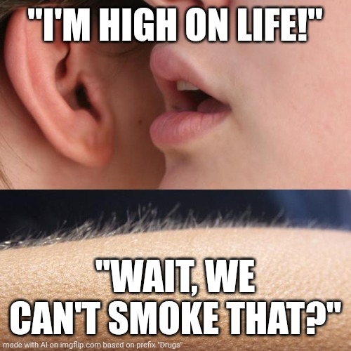 Whisper and Goosebumps | "I'M HIGH ON LIFE!"; "WAIT, WE CAN'T SMOKE THAT?" | image tagged in whisper and goosebumps | made w/ Imgflip meme maker