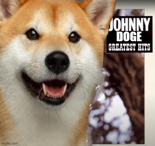 Johnny Reb | DOGE | image tagged in rebel,rebel flag,rebels,civil war,dixie,johnny | made w/ Imgflip meme maker