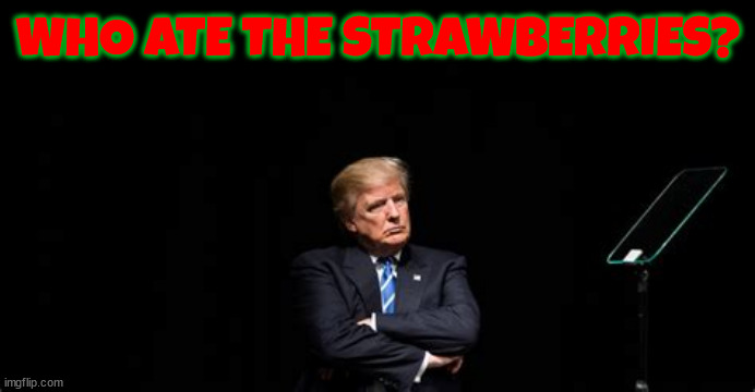 Trump ate the strawberries | WHO ATE THE STRAWBERRIES? | image tagged in tthe fifth,capitin queeg,strawberries,maga mainac,cain mutiny,book em' dano | made w/ Imgflip meme maker