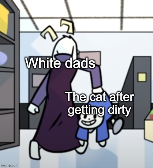 Asriel carrying sans | White dads; The cat after getting dirty | image tagged in asriel carrying sans,the cat,white,dirty,cat,cat owner | made w/ Imgflip meme maker