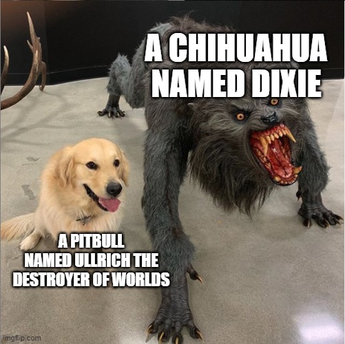 apples 2 oranges | A CHIHUAHUA NAMED DIXIE; A PITBULL NAMED ULLRICH THE DESTROYER OF WORLDS | image tagged in dog vs werewolf,pitbulls,dogs,dog memes | made w/ Imgflip meme maker