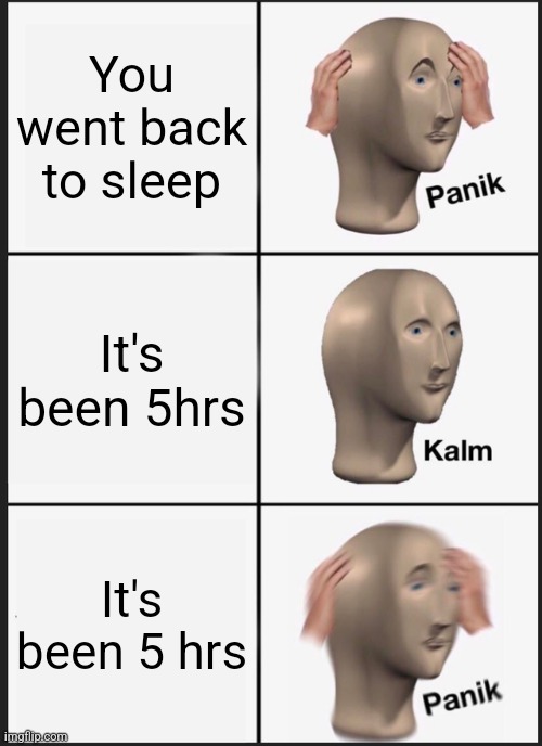 Panik Kalm Panik | You went back to sleep; It's been 5hrs; It's been 5 hrs | image tagged in memes,panik kalm panik | made w/ Imgflip meme maker