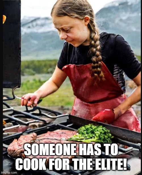 Gretta Grillnberg | SOMEONE HAS TO COOK FOR THE ELITE! | image tagged in bbq,peasant,elite,greta thunberg,greta,grilling | made w/ Imgflip meme maker