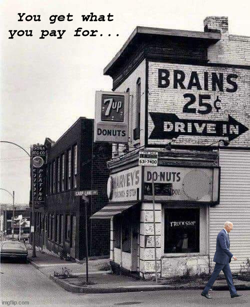 brains | You get what you pay for... | image tagged in brains,joe biden | made w/ Imgflip meme maker