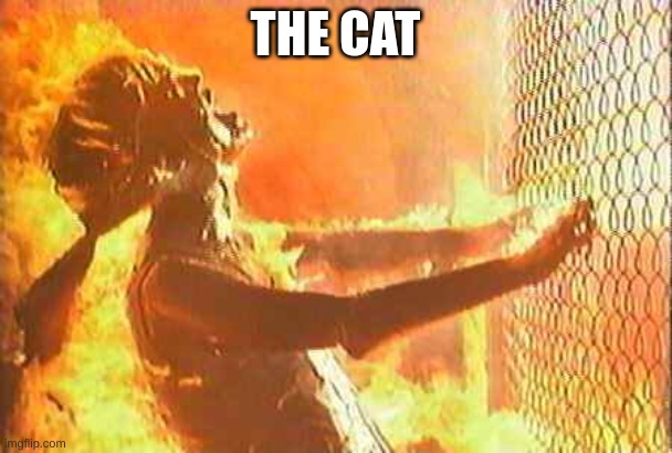 Terminator nuke | THE CAT | image tagged in terminator nuke | made w/ Imgflip meme maker