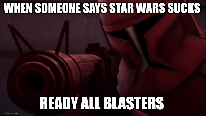 clone trooper | WHEN SOMEONE SAYS STAR WARS SUCKS; READY ALL BLASTERS | image tagged in clone trooper | made w/ Imgflip meme maker