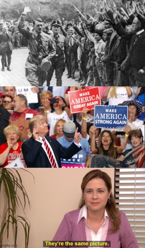 image tagged in nazi germany approves,trump crowd,memes,they're the same picture | made w/ Imgflip meme maker