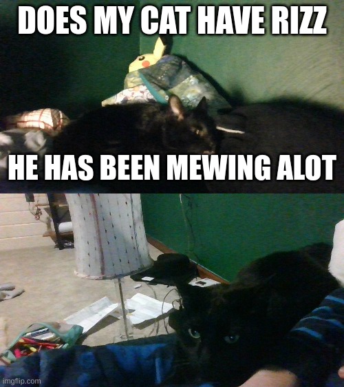 hes been "mewing" alot LOL | DOES MY CAT HAVE RIZZ; HE HAS BEEN MEWING ALOT🤣 | image tagged in mewing,cat | made w/ Imgflip meme maker