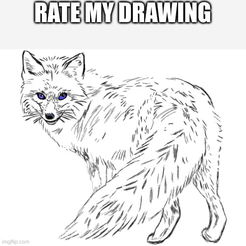 Rate my drawing | RATE MY DRAWING | image tagged in drawing,fox | made w/ Imgflip meme maker