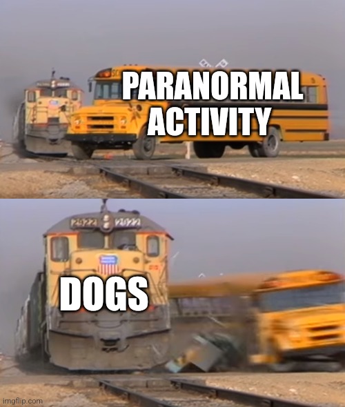 Dogs can sense the paranormal | PARANORMAL ACTIVITY; DOGS | image tagged in a train hitting a school bus,ghosts,jpfan102504,dogs | made w/ Imgflip meme maker