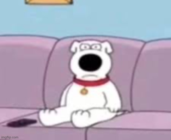 Caption this | image tagged in bri,family guy | made w/ Imgflip meme maker