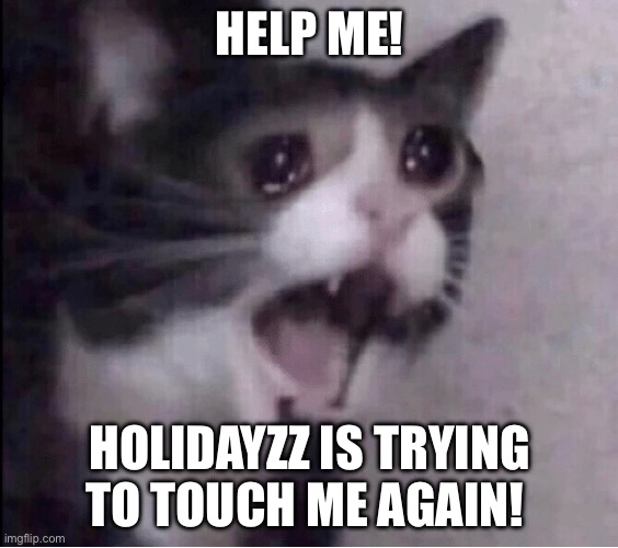 Disturbed Cat | HELP ME! HOLIDAYZZ IS TRYING TO TOUCH ME AGAIN! | image tagged in disturbed cat | made w/ Imgflip meme maker