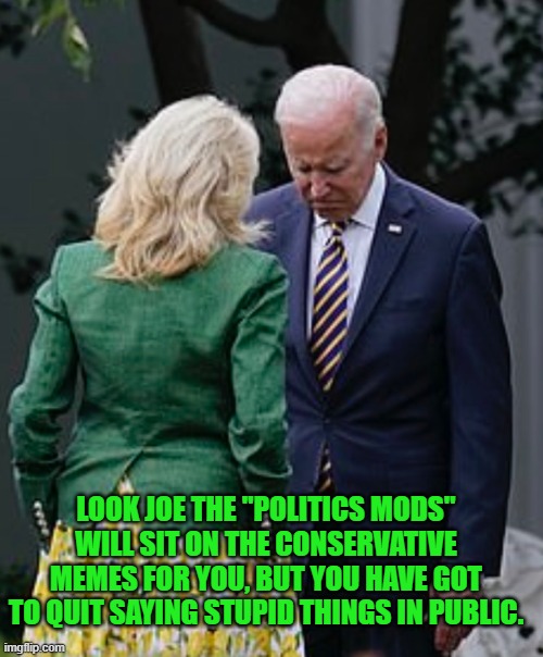Road block are up today | LOOK JOE THE "POLITICS MODS" WILL SIT ON THE CONSERVATIVE MEMES FOR YOU, BUT YOU HAVE GOT TO QUIT SAYING STUPID THINGS IN PUBLIC. | made w/ Imgflip meme maker