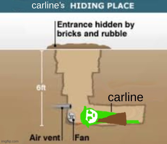 Saddam Hussein's hiding place blank | carline carline | image tagged in saddam hussein's hiding place blank | made w/ Imgflip meme maker