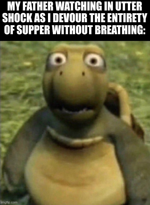 My life in a nutshell | MY FATHER WATCHING IN UTTER SHOCK AS I DEVOUR THE ENTIRETY OF SUPPER WITHOUT BREATHING: | image tagged in shocked turtle | made w/ Imgflip meme maker