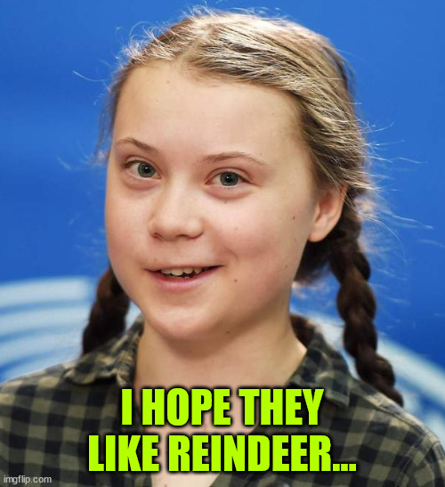 Greta Thunberg | I HOPE THEY LIKE REINDEER... | image tagged in greta thunberg | made w/ Imgflip meme maker