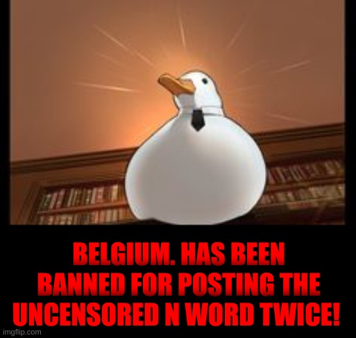 The situation has been dealt with. | BELGIUM. HAS BEEN BANNED FOR POSTING THE UNCENSORED N WORD TWICE! | made w/ Imgflip meme maker