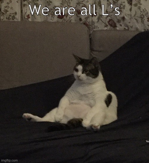 Cat be thinking | We are all L’s | image tagged in cat be thinking | made w/ Imgflip meme maker