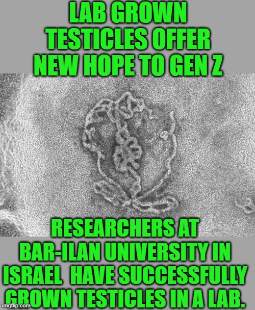 yep | LAB GROWN TESTICLES OFFER NEW HOPE TO GEN Z; RESEARCHERS AT BAR-ILAN UNIVERSITY IN ISRAEL  HAVE SUCCESSFULLY GROWN TESTICLES IN A LAB. | image tagged in democrats,gen z | made w/ Imgflip meme maker