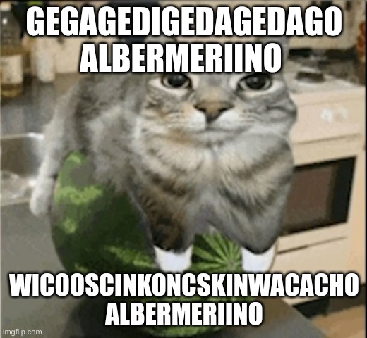 Cat on da watermelon | GEGAGEDIGEDAGEDAGO ALBERMERIINO WICOOSCINKONCSKINWACACHO ALBERMERIINO | image tagged in cat on da watermelon | made w/ Imgflip meme maker