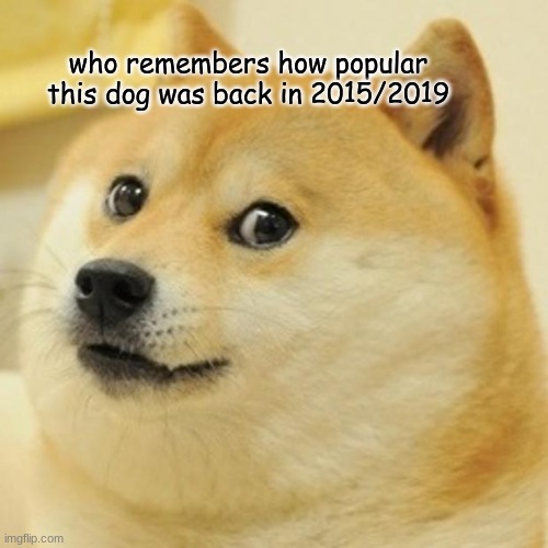 who remembers | who remembers how popular this dog was back in 2015/2019 | image tagged in memes,doge | made w/ Imgflip meme maker