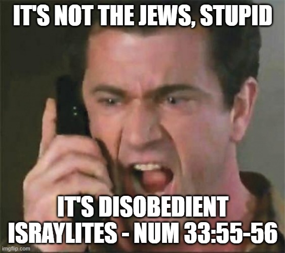 GIVE ME BACK MY SON | IT'S NOT THE JEWS, STUPID; IT'S DISOBEDIENT ISRAYLITES - NUM 33:55-56 | image tagged in give me back my son | made w/ Imgflip meme maker