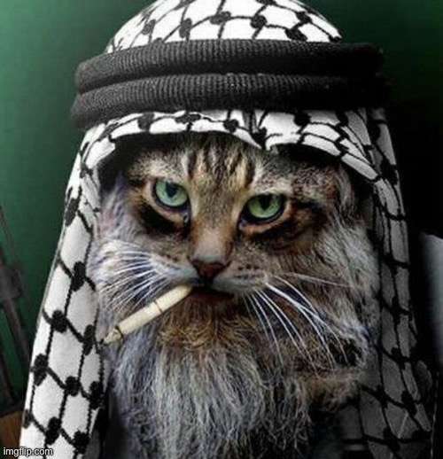 i saw what you deleted | image tagged in i saw what you deleted | made w/ Imgflip meme maker