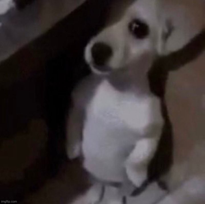 No | made w/ Imgflip meme maker