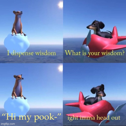 Wisdom dog rejected | “Hi my pook-” | image tagged in wisdom dog rejected | made w/ Imgflip meme maker